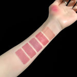 5 In 1 Matte Lipstick Kit Waterproof-Shade-02
